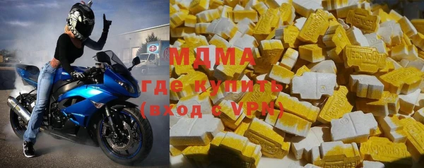 индика Абинск
