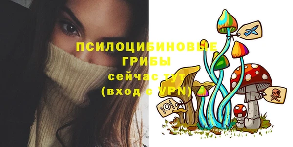 индика Абинск