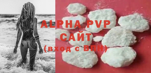 индика Абинск