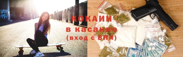 индика Абинск