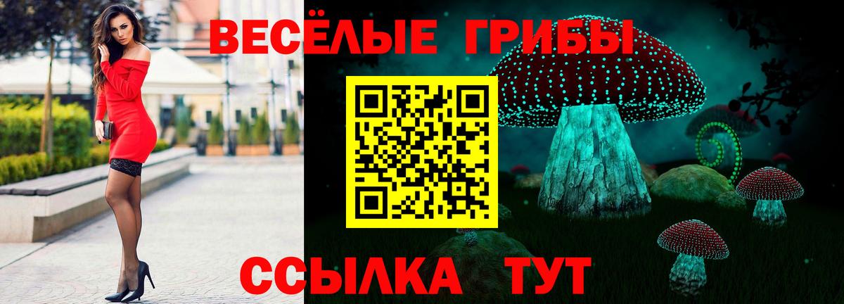 Галлюциногенные грибы Psilocybe  Вход с VPN  где продают наркотики  Воронеж 