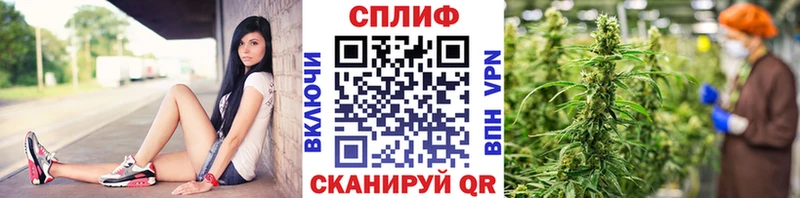 Марихуана White Widow это Telegram Воронеж как найти